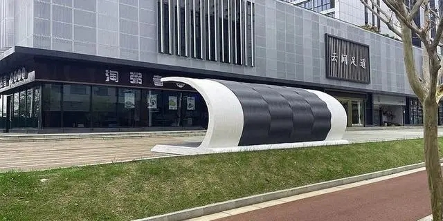 新華日?qǐng)?bào)：線條優(yōu)美宛如藝術(shù)品 南京首批3D打印車棚亮相街頭
